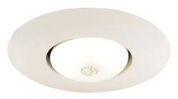 250-WH 6″ Line Voltage, Open Frame Trim with BR30 Lamp, White Trim