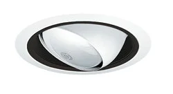619B-WH 6″ Line Voltage, Slope Ceiling Cylinder Eyeball Trim in Baffle, Black Baffle, White Trim