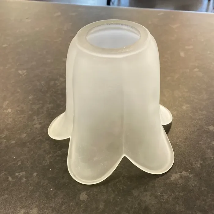 (8) Unknown Light Fitting – Shade for ES