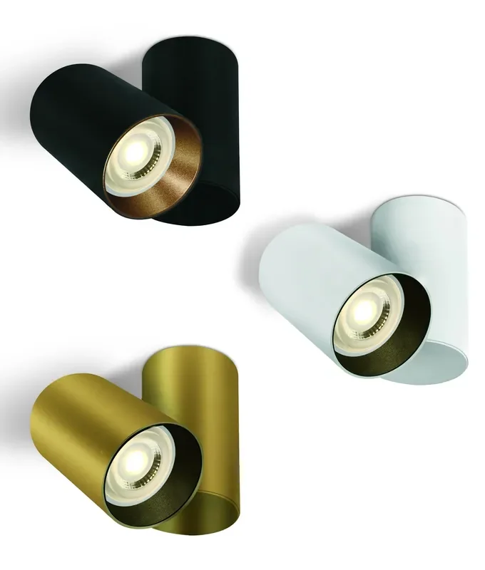 Adjustable Single Spot Surface Mounted Downlight