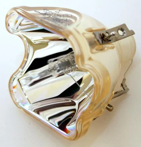 AL™ Series 220-150W 1.0 E19.5 Bulb (Lamp Only) for Various Projectors – 90 Day Warranty