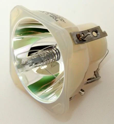 AL™ Series 220-150W 1.0 E19 Bulb (Lamp Only) for Various Projectors – 90 Day Warranty