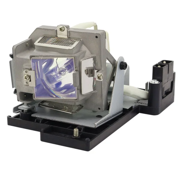 AL™ Series 5811100256-S Lamp & Housing for Optoma Projectors – 90 Day Warranty
