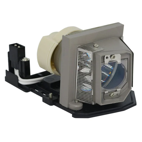 AL™ Series BL-FP190A Lamp & Housing for Optoma Projectors – 90 Day Warranty