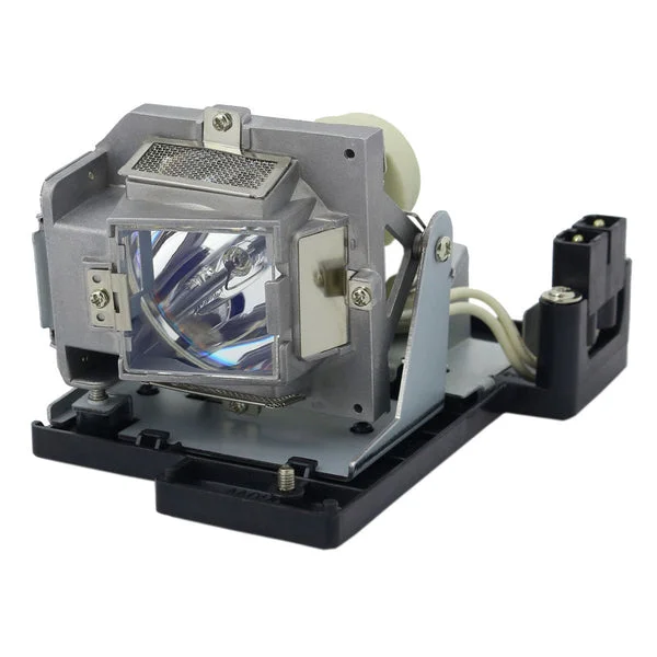 AL™ Series DE.5811116037 Lamp & Housing for Optoma Projectors – 90 Day Warranty