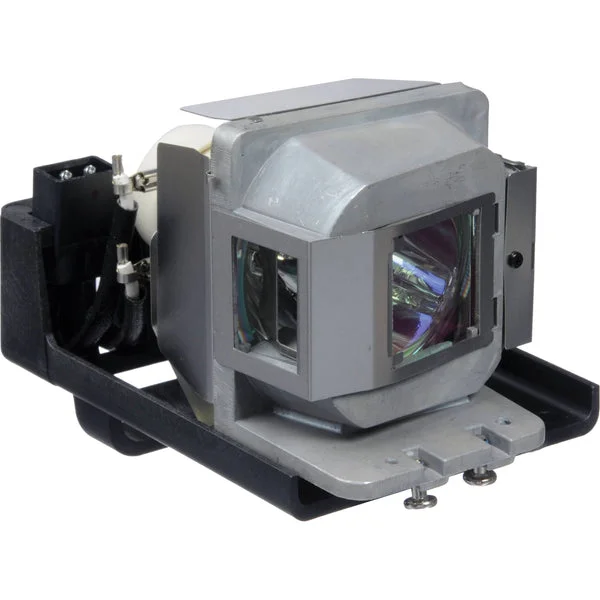 AL™ Series Lamp & Housing for The Viewsonic VS11990 Projector – 90 Day Warranty