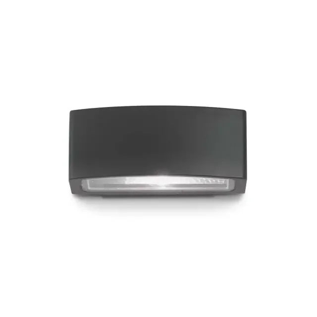 Andromeda AP1 Black with Frosted Glass 22cm IP55 Wall Light