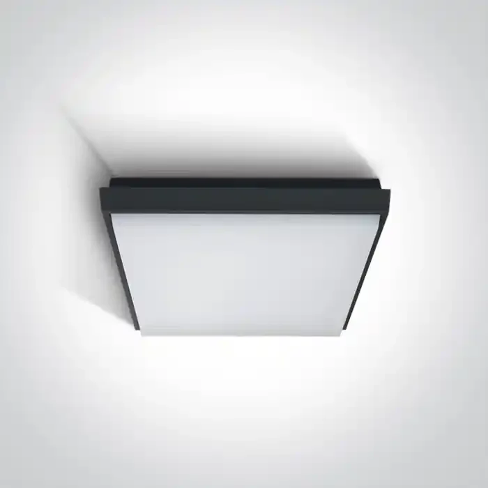 Anthracite 25W LED slim plafo, IP54, ideal for both indoor and outdoorinstallation.
