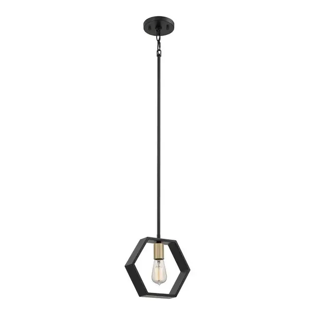 Bismarck Earth Black Mini Pendant Light