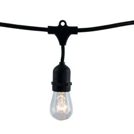 Bulbrite 812312 STRING12L/30FT/30IN/E26/BLACK/INC/S14 30-foot String Light Kit with Clear Vintage Style S14 Incandescent Light Bulbs