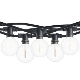 Bulbrite 862815 STRING10L/14FT/16IN/E12/BLACK/LED/G16-2PK 14-foot String Light Kit with Clear Shatter Resistant Globe G16 LED Light Bulbs