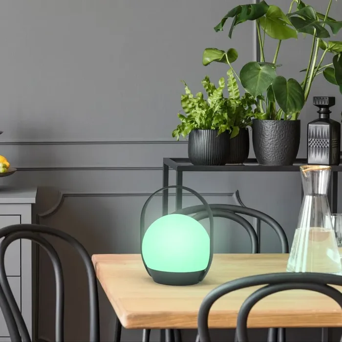 Cardi Colour Changing Portable Outdoor Lamp