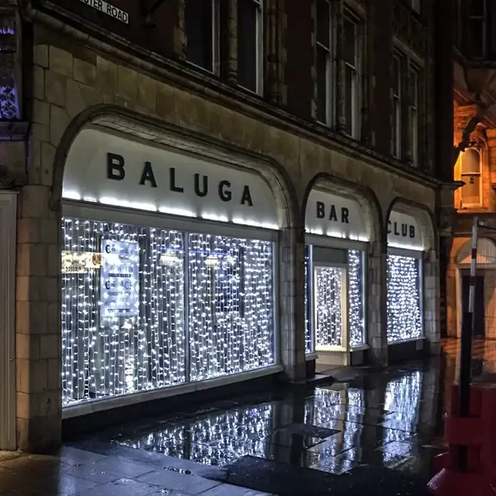 Connectable Professional Grade Outdoor Christmas Curtain Lights