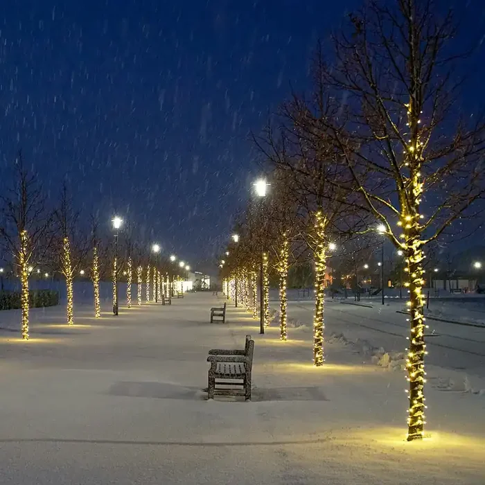 Connectable Professional Grade Outdoor Christmas String Lights