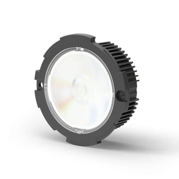 DMF Lighting DRD2M10927LST Fixed LED Module, 120/277V, 1000 Lumens, Linear Beam Spread, TRIAC/ELV Dimming, 2700K, Black