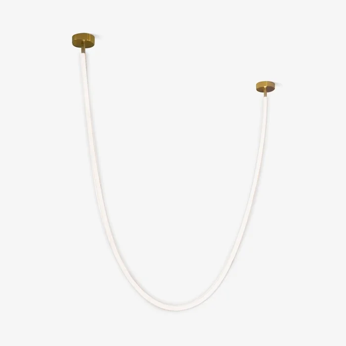 Flexible Curve Pendant Lamp