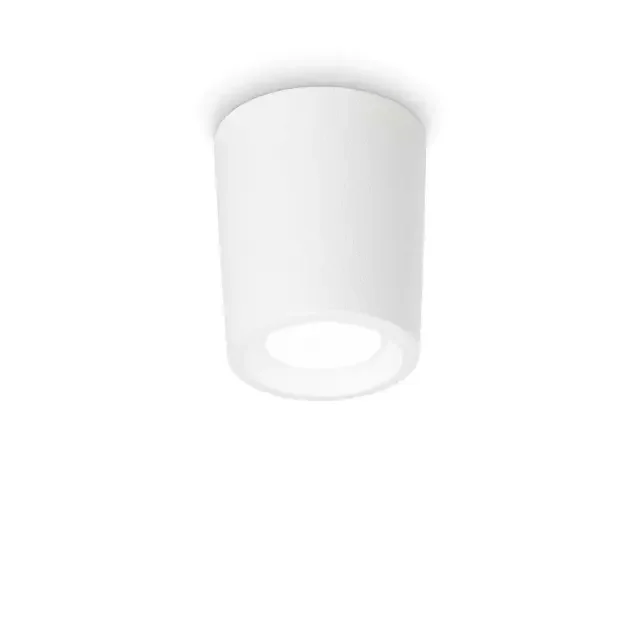 Livia PL White 90cm Resin IP55 Surface Downlight