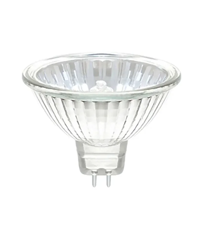 MR16 50w 12v Halogen Lamp