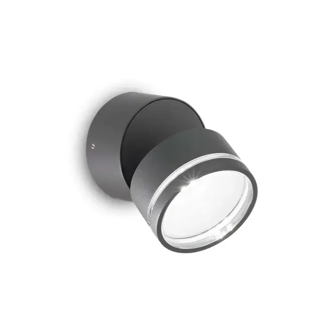 Omega AP Anthracite Round Adjustable 3000K IP54 LED Wall Light