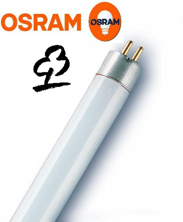 Osram 224989 HE 21W/880 – Skywhite