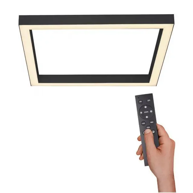 Pure Lines Anthracite 55cm Ceiling Light