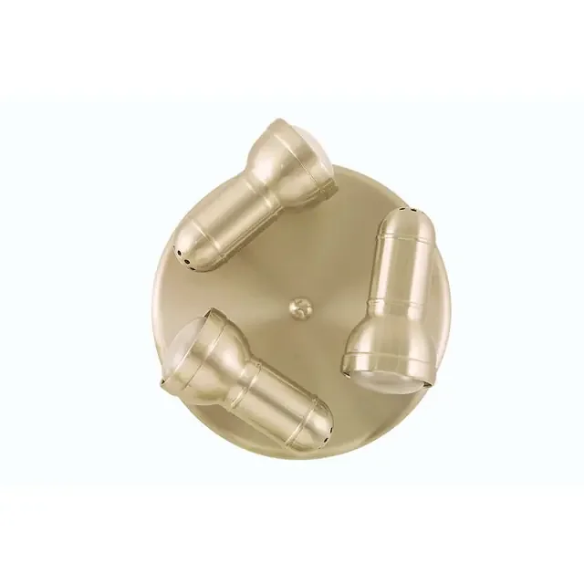 Regency Antique Chrome Adjustable Plate Spotlight