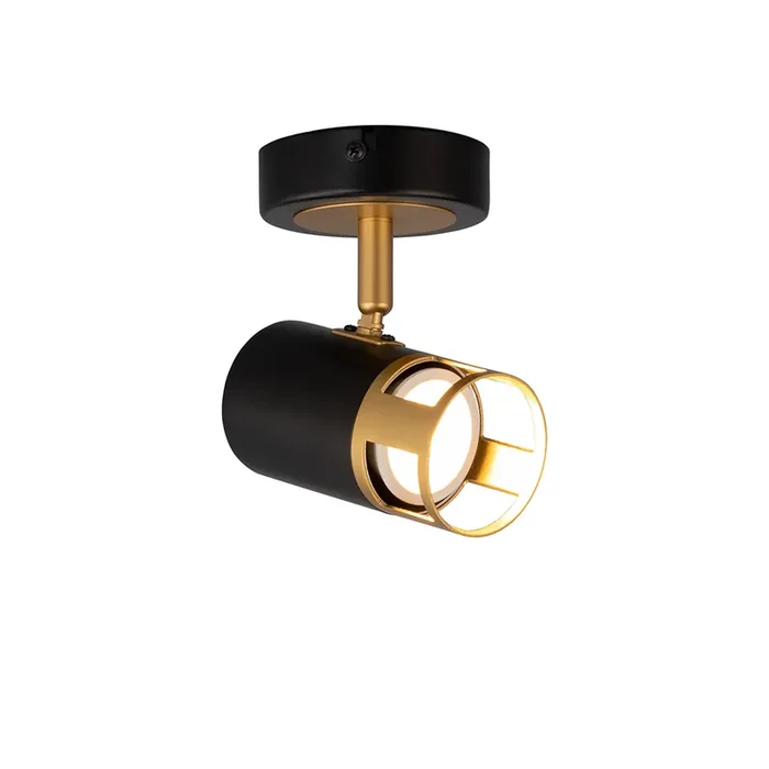 Sasha Single Spotlight