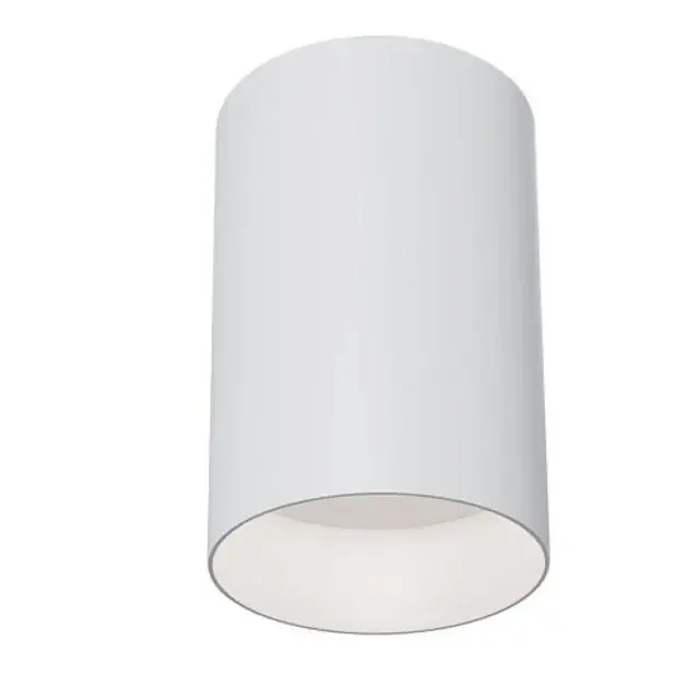 Slim White Convex Surface Downlight