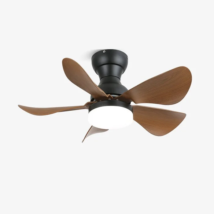Small Arilia 29″ Ceiling Fan Light