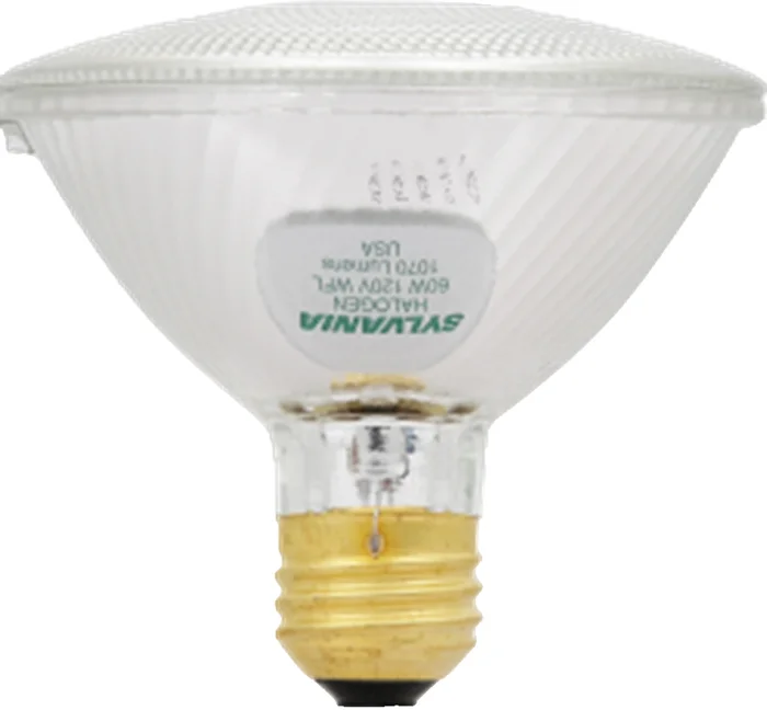 Sylvania 16129 60PAR30/HAL/S/WFL50 120V