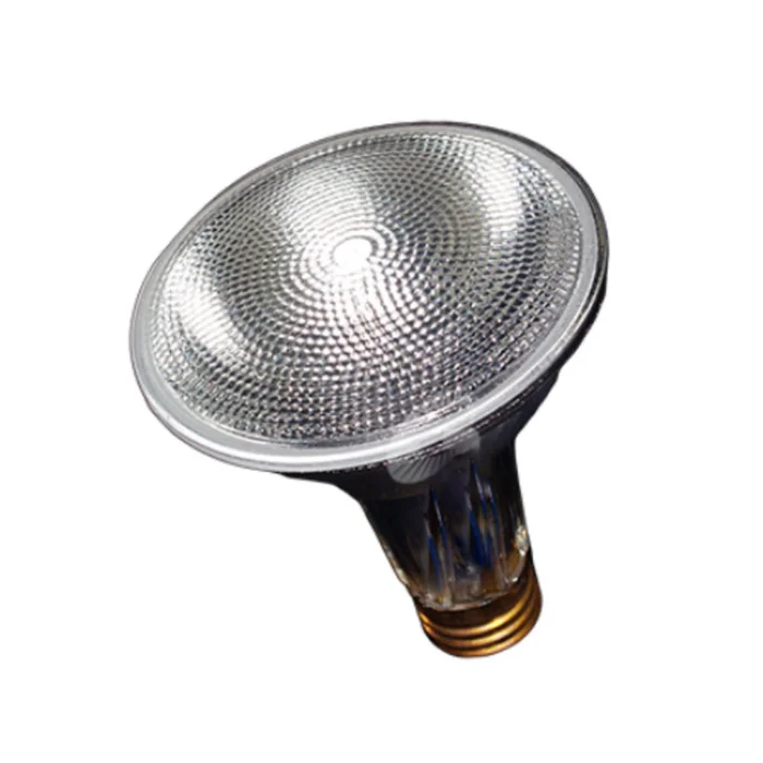 Sylvania 16167 60PAR30LN/HAL/S/NFL25