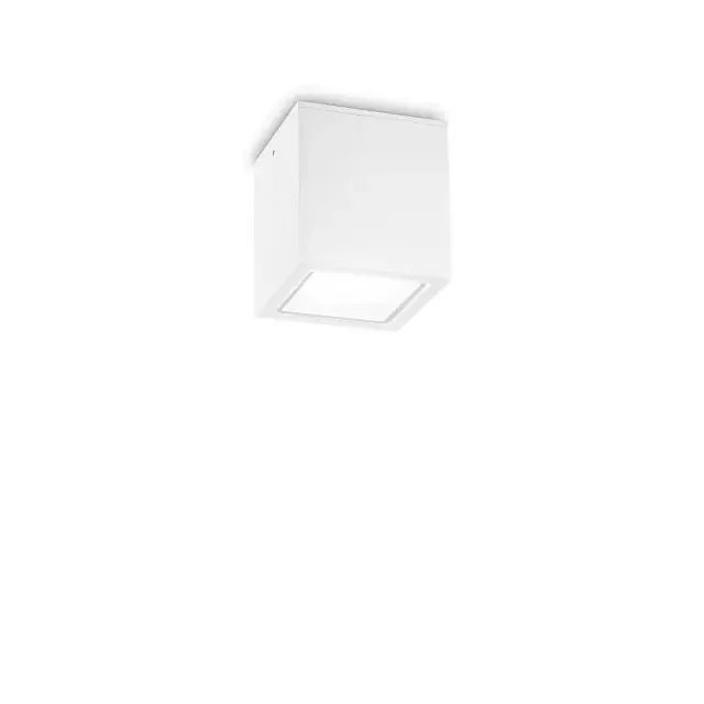 Techo PL1 White with Frosted Glass Diffuser 9.5cm Surface Ceiling Light