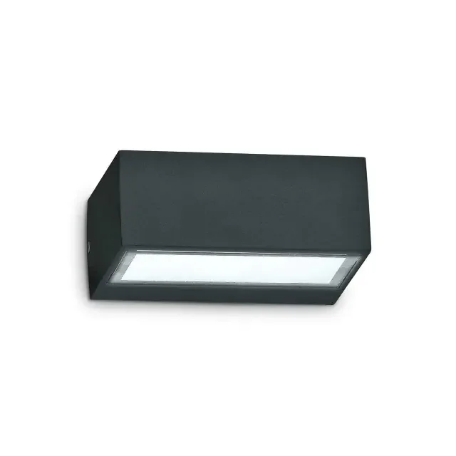 Twin AP1 Black with Frosted Glass Diffuser Up and Down IP44 Wall Light