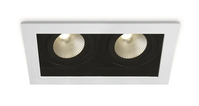 White 2x12W LED Dark Light Recessed adjustable spot, IP20.