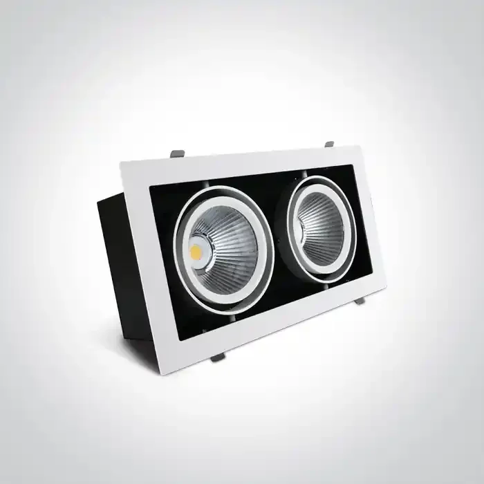 White 2x30W COB LED Recessed adjustable downlight, COB square range, IP20.