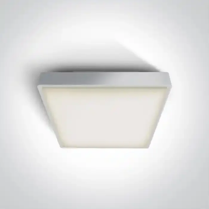 White 2xE27 plafo light, ABS body and PC diffuser, IP65 rate, ideal for indoorand outdoor application.