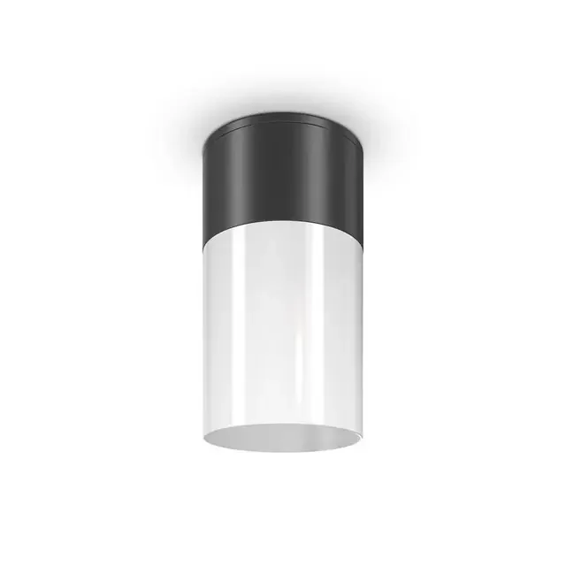 Willis Black with White Diffuser IP54 Ceiling Light