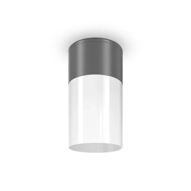 Willis Grey with White Diffuser IP54 Ceiling Light