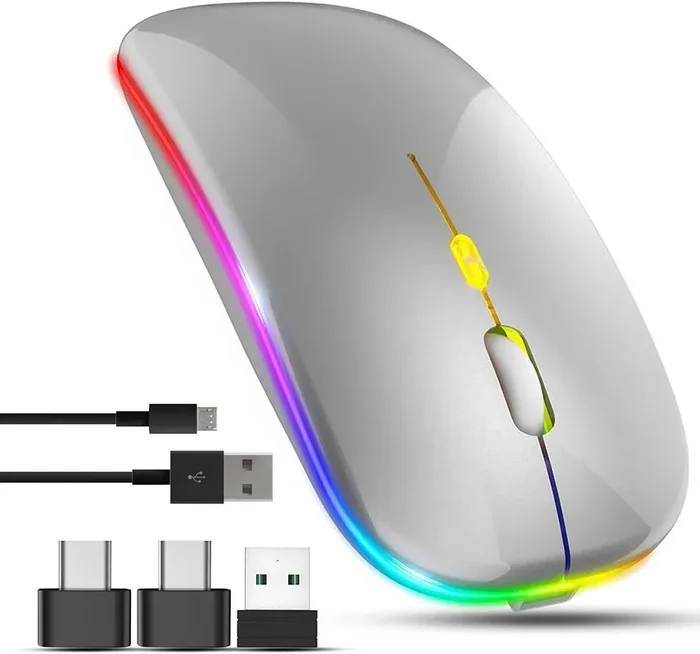 Wireless Mouse for Laptop with 2 USB A to C Adapters, 2.4GHz & Bluetooth, Rechargeable, 800-2400 DPI, 3 Buttons, Silver
