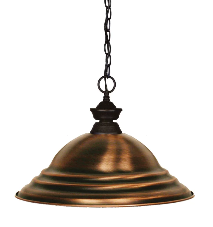 Z-Lite 100701BRZ-SAC Shark One Light Pendant, Bronze