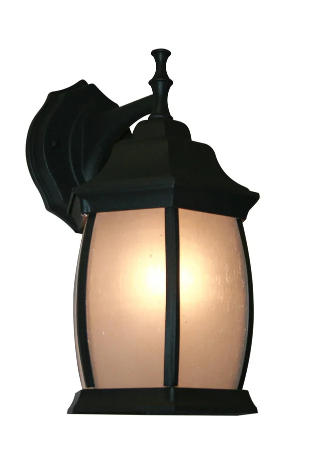 Z-Lite T20-BK-F Waterdown One Light Outdoor Wall Sconce, Black